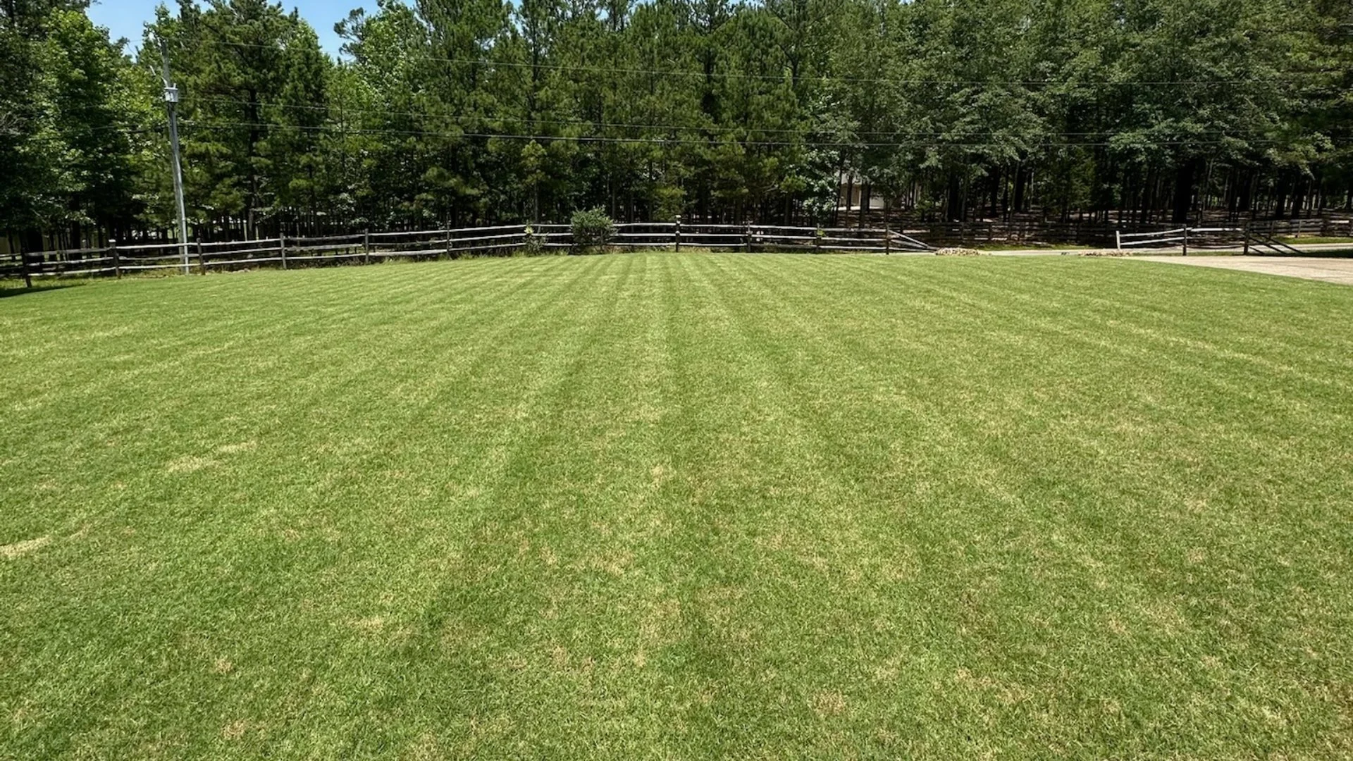 Do Lawn Mower Blades Need to Be Sharpened Often?