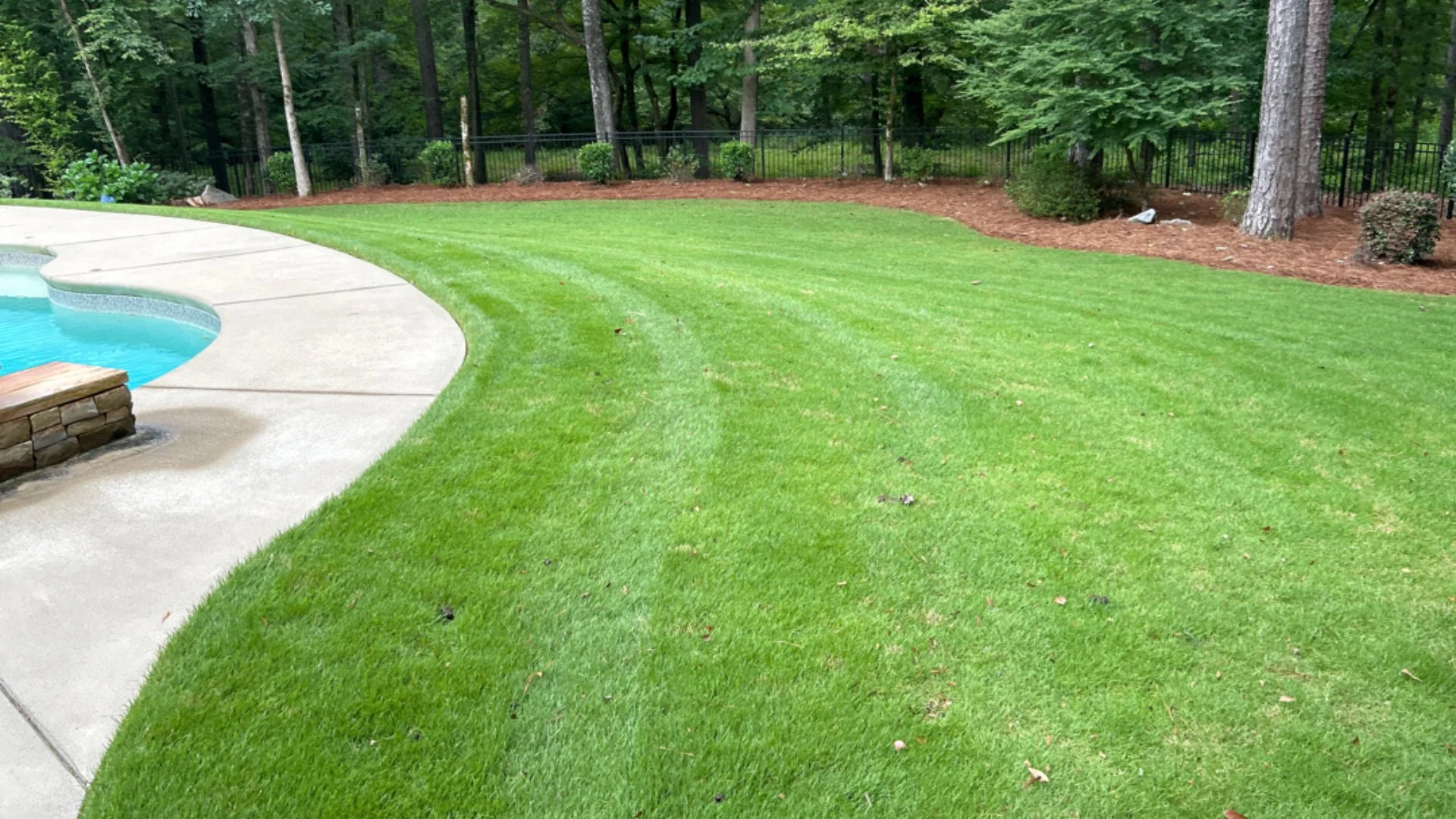 Fall Is a Great Time for a Pre-Emergent Weed Control Treatment