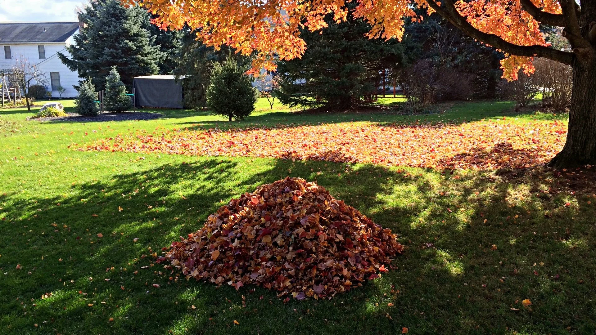 Regular Fall Yard Cleanup and Mulching is a Must