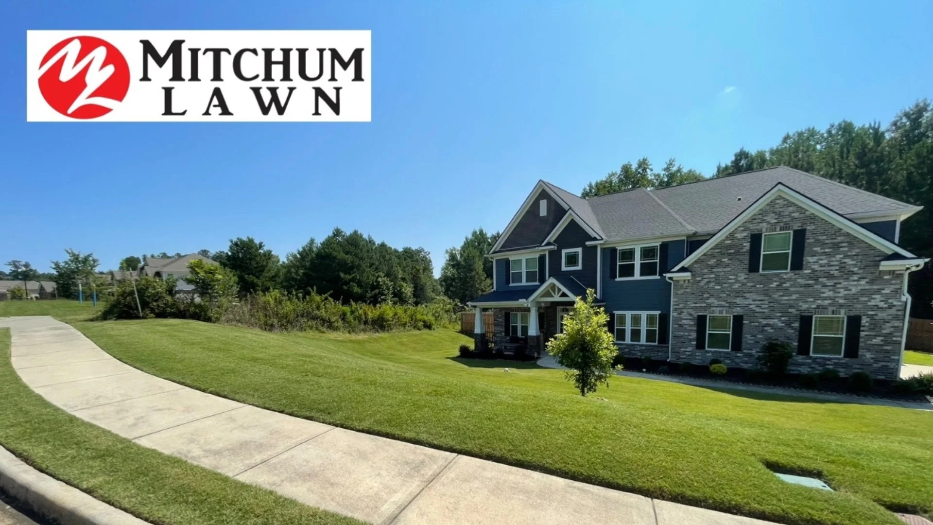 Rain, Rain, Go Away: Caring for Your Lawn During Georgia’s Summer Storms