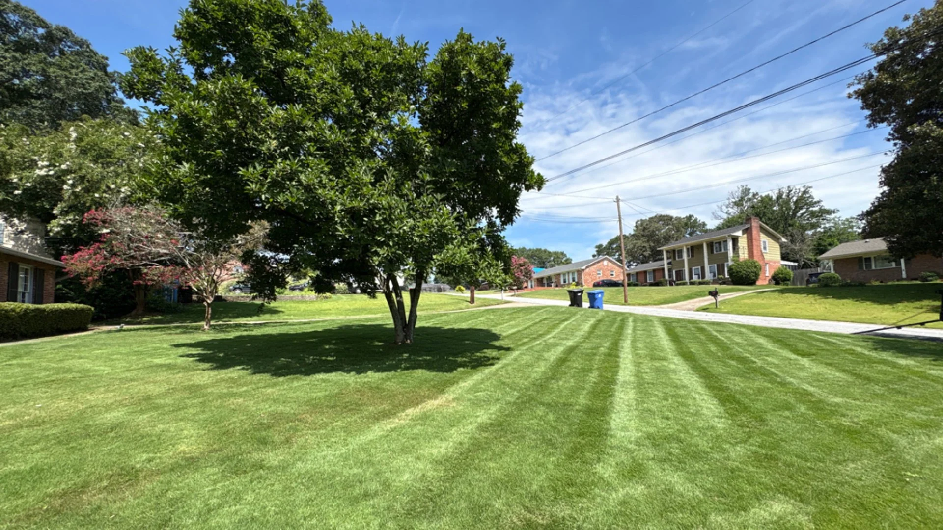Common Mowing Mistakes That DIY Mowers Make