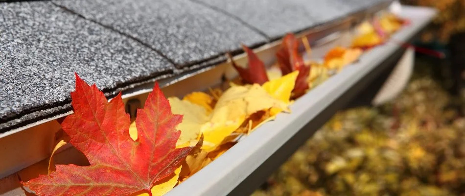 Gutter in Columbus, GA, with leaves.