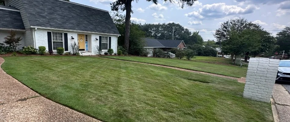 Weed-free lawn in Columbus, GA.