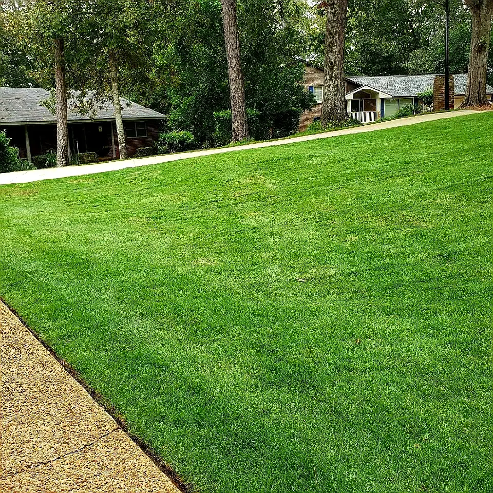 A well maintained lawn