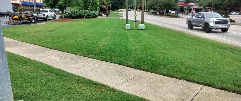 Green, manicured grass and a walkway in Columbus, GA.