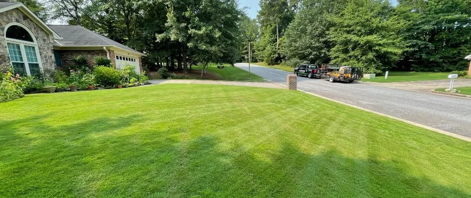 Healthy, fertilized lawn on a property in Columbus, GA.