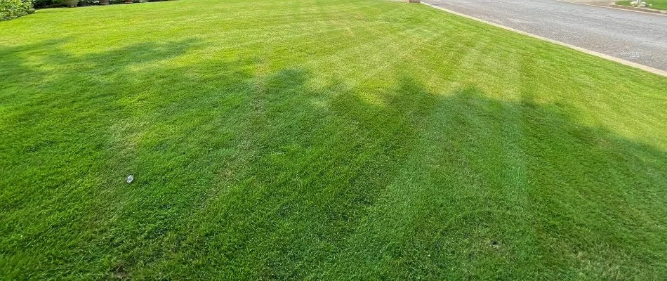 Healthy green lawn in Cataula, GA, with mowing stripes.