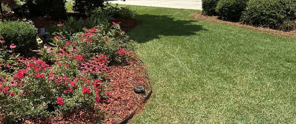 Landscape bed in Columbus, GA, with flowers and shrubs.