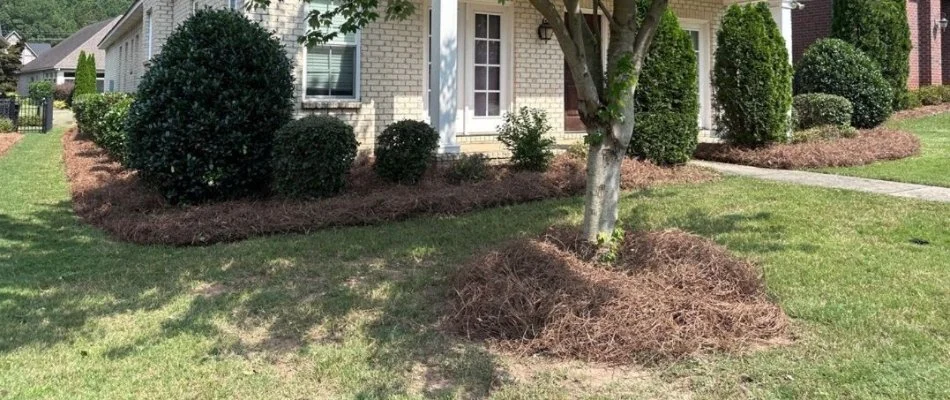 Landscape beds in Columbus, GA, with pine straw.