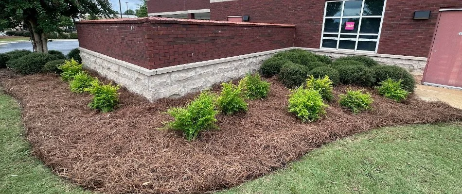 Healthy green lawn in Columbus, GA.
