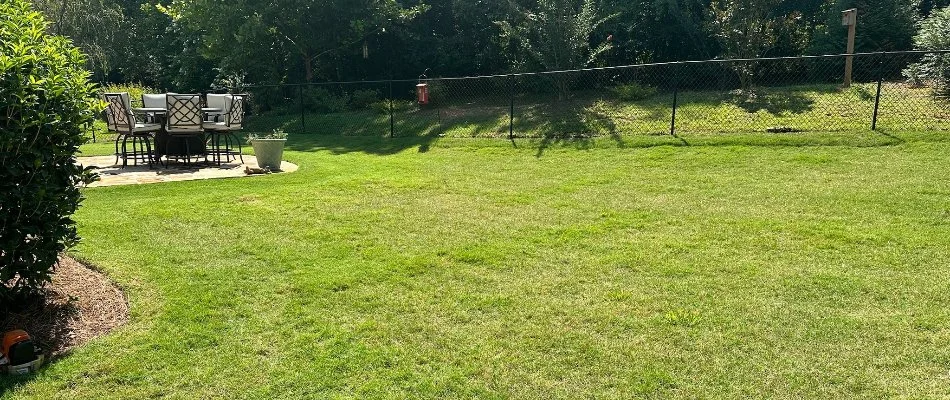 Neat backyard in Columbus, GA, with green grass and outdoor furniture.