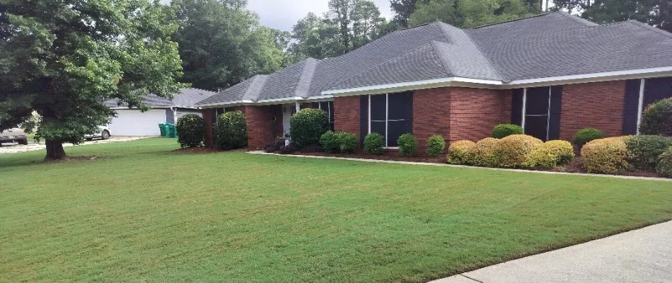 Neat grass and trimmed shrubs by a house in Columbus, GA.