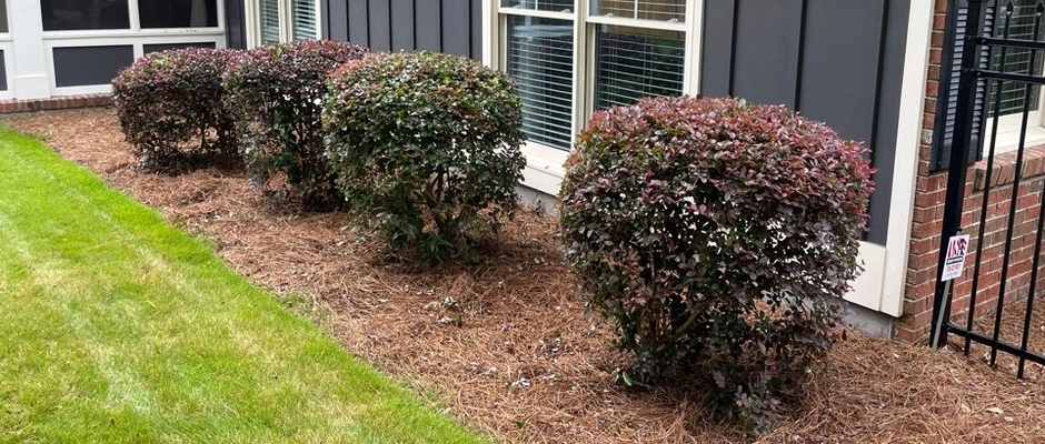 Landscape bed in Columbus, GA, with rocks.