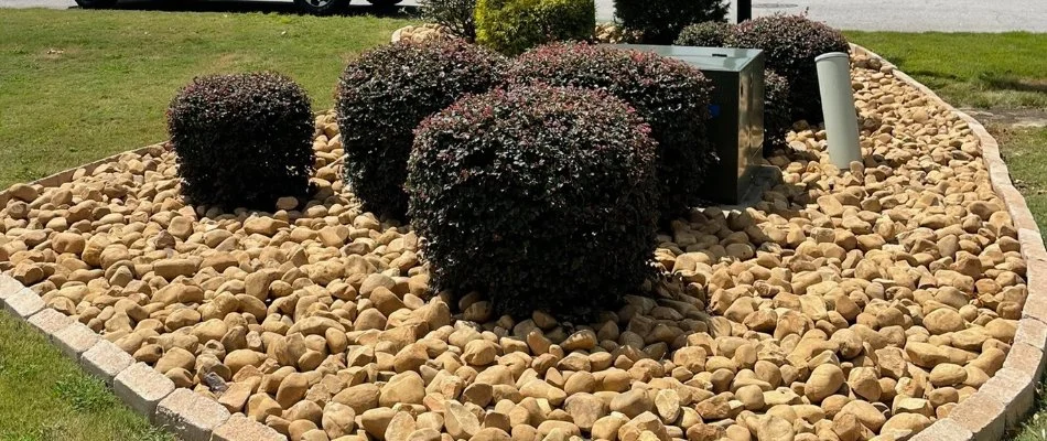 Landscape bed in Columbus, GA, with rocks.