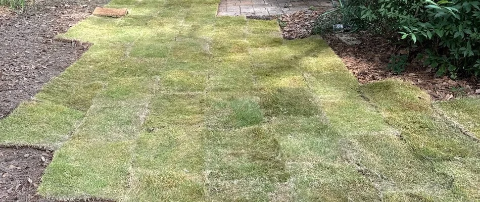 Sod during installation in Columbus, GA.