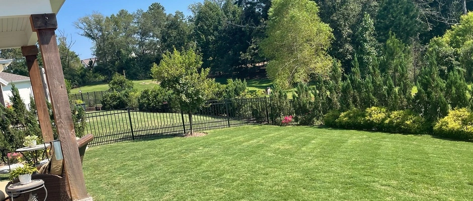 Lawn with aeration cores in a property in Columbus, GA.