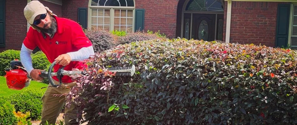 Worker trimming shrubs on a property in Ellerslie, GA.