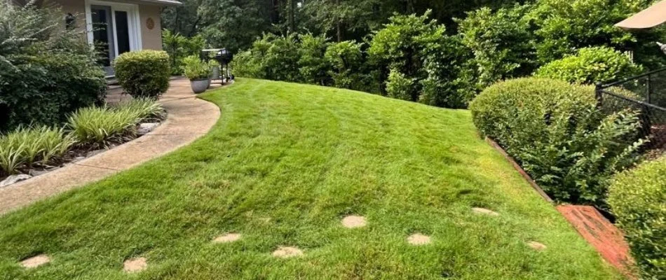 Yard in Columbus, GA, with grass, plants, and a walkway.