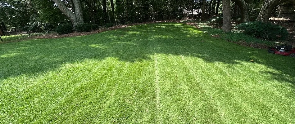 Healthy green lawn in Columbus, GA.