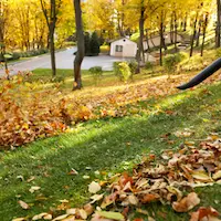 Leaf Blowing