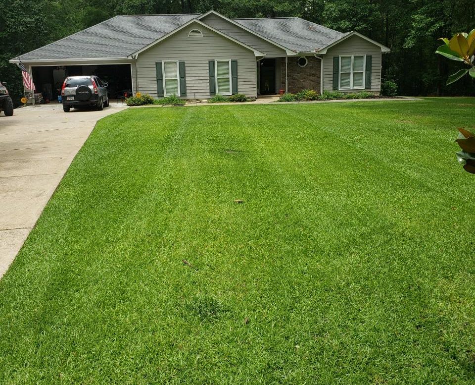 Read more about the article Five Reasons why hiring a Lawn Care Service is the right move!