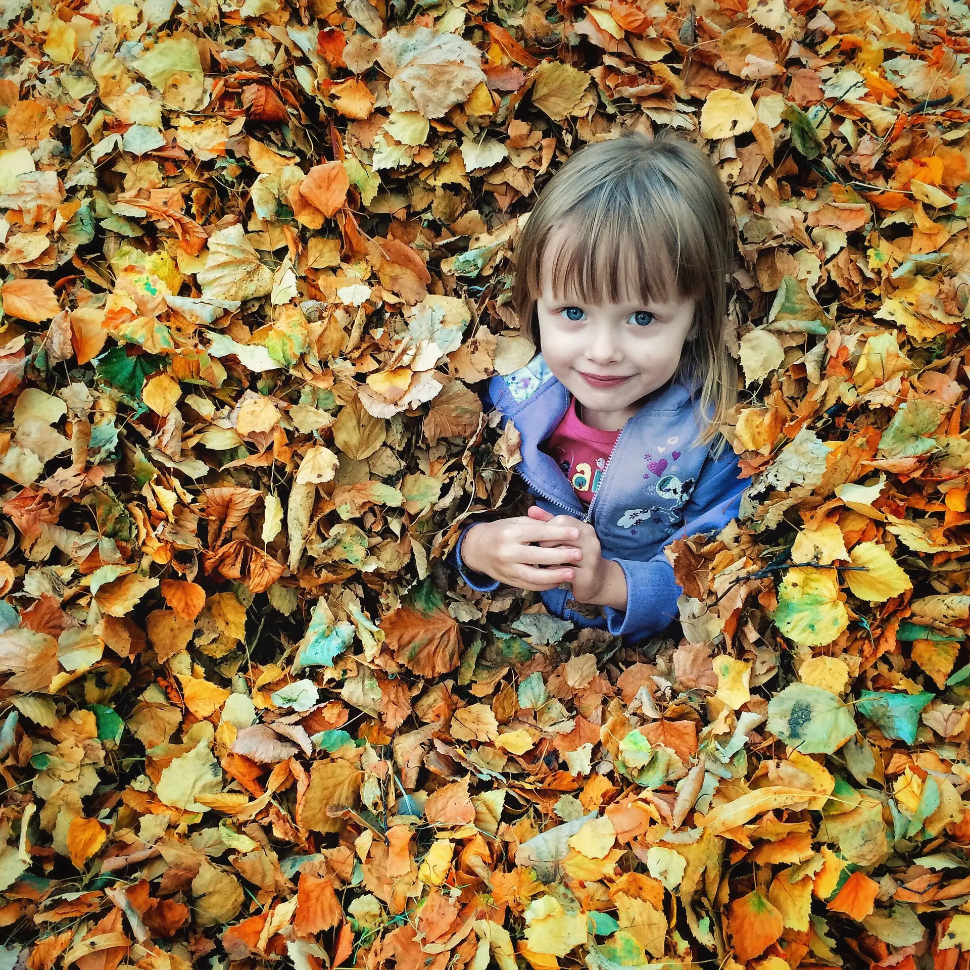 Read more about the article Regular Fall Yard Cleanup and Leaf Mulching is a Must!