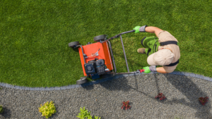 Read more about the article Revitalize Your Lawn: The Core Benefits of Core Aeration