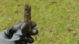 Core aeration plug