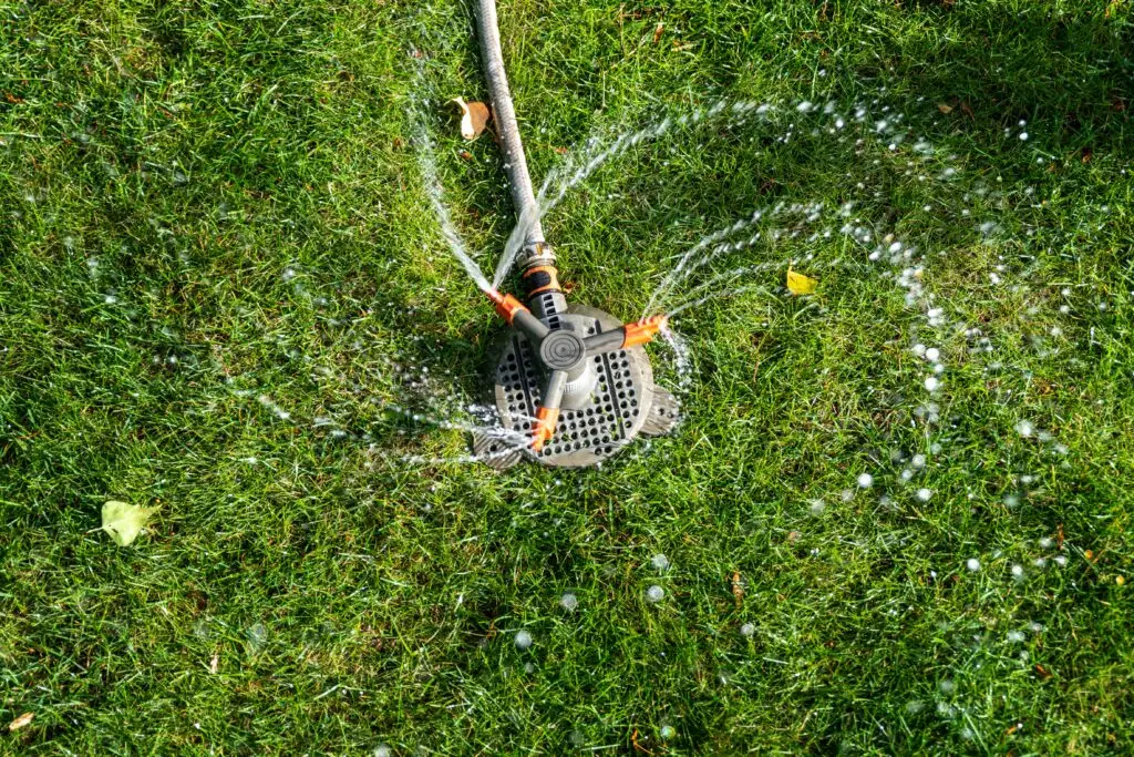 Sprinkler watering the alwn