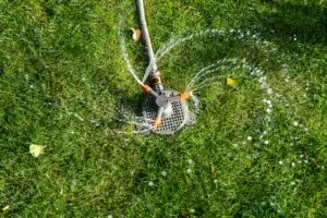 Sprinkler watering the alwn