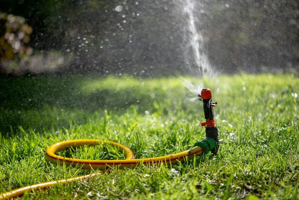 A sprinkler watering a lawn