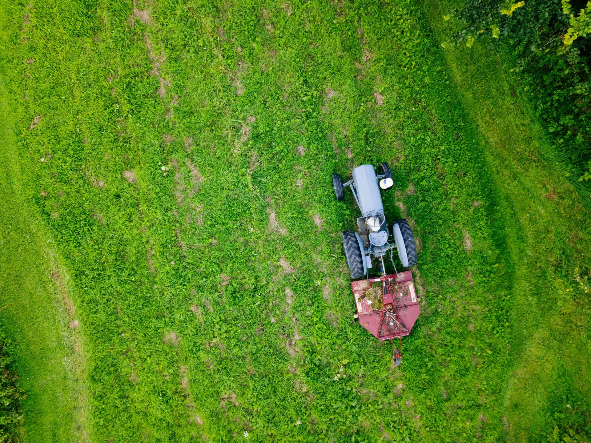 Read more about the article When Can You Stop Mowing Your Lawn? A Guide to the End of the Mowing Season