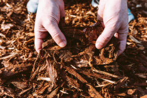 Wood chip mulch