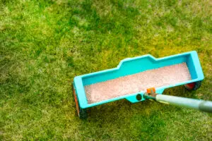 Turf treatment in Columbus, GA