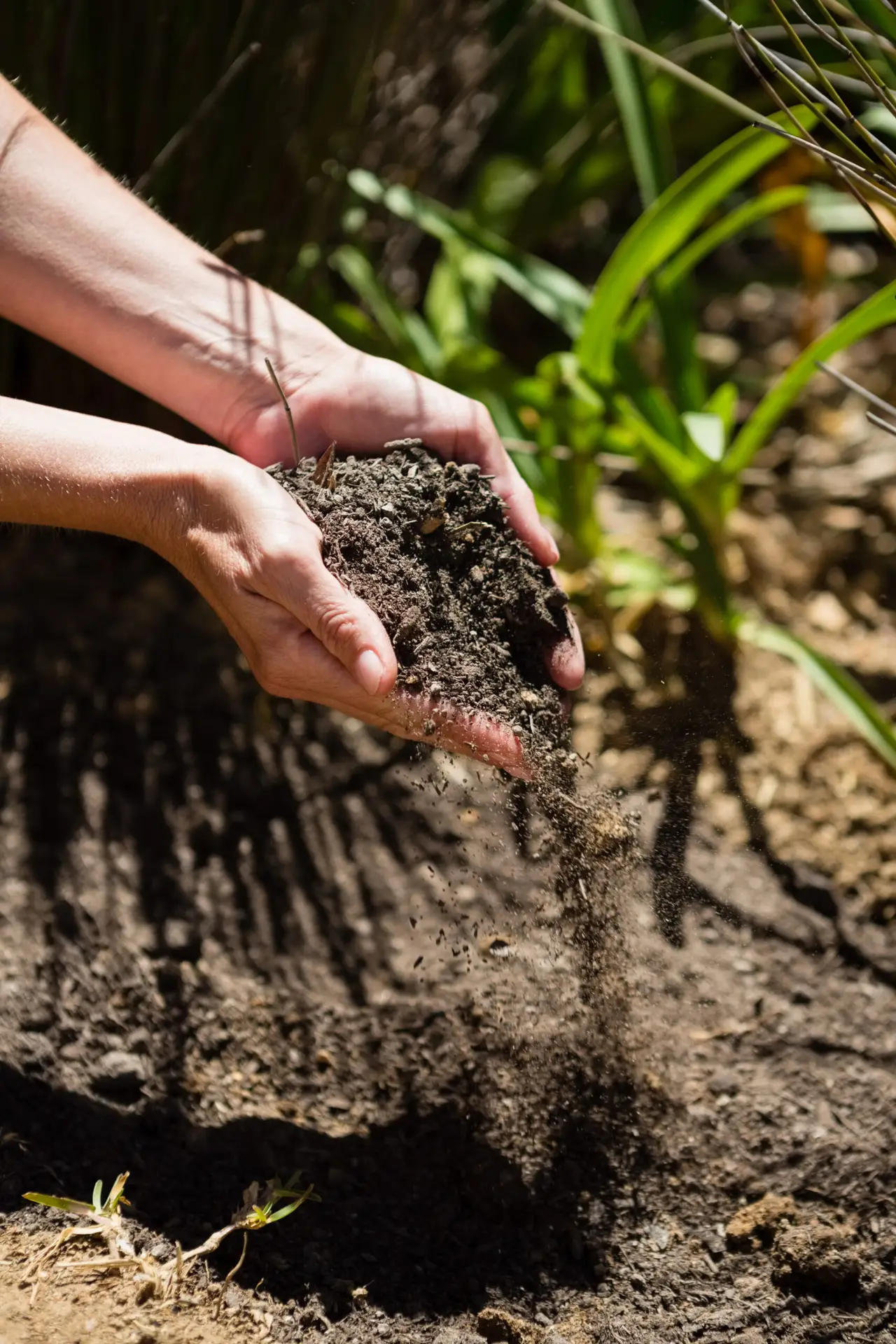 Read more about the article Why Your Lawn Needs Love Too: The Importance of Soil Health