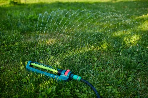Water your Lawn